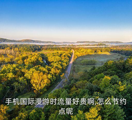 手機國際漫游時流量好貴啊,怎么節(jié)約點呢