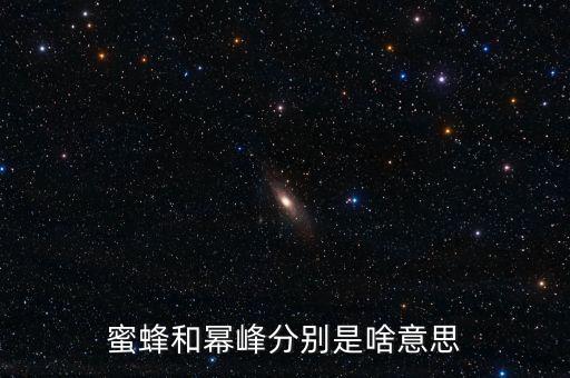 蜜蜂和冪峰分別是啥意思