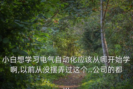 小白想學(xué)習(xí)電氣自動(dòng)化應(yīng)該從哪開始學(xué)啊,以前從沒擺弄過這個(gè)..公司的都...