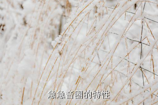 急急音圈的特性