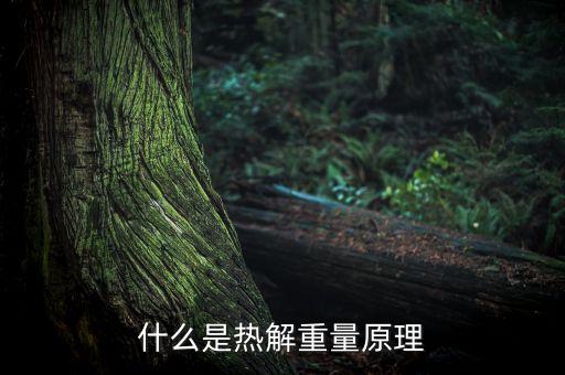什么是熱解重量原理
