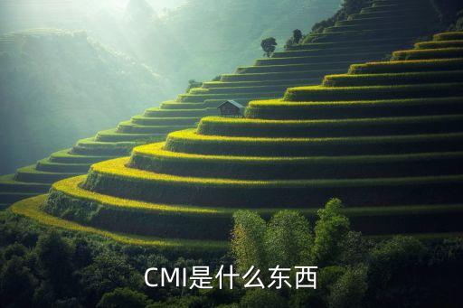 CMI是什么東西