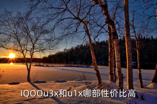 IQOOu3x和u1x哪部性價(jià)比高