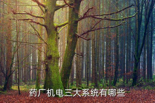 藥廠機(jī)電三大系統(tǒng)有哪些