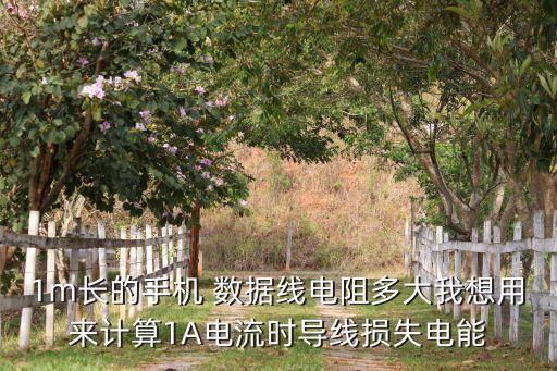 1m長的手機(jī) 數(shù)據(jù)線電阻多大我想用來計(jì)算1A電流時(shí)導(dǎo)線損失電能