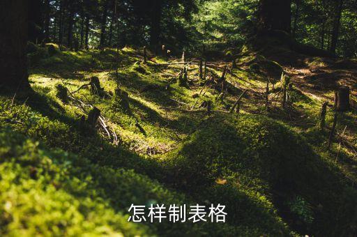 怎樣制作，怎樣制表格
