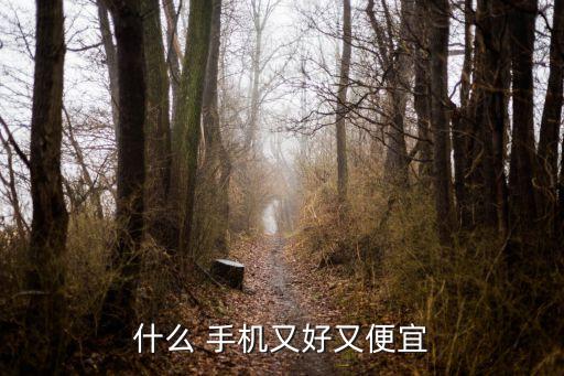 什么 手機(jī)又好又便宜