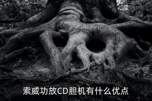 膽機(jī)功放的優(yōu)缺點(diǎn)，膽機(jī)功放聽歌好不好