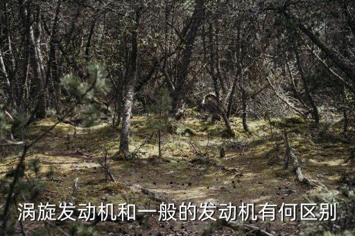 渦旋發(fā)動機(jī)和一般的發(fā)動機(jī)有何區(qū)別