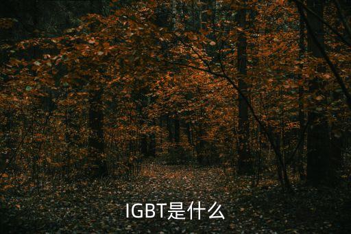igbt是什么意思，IGBT是什么