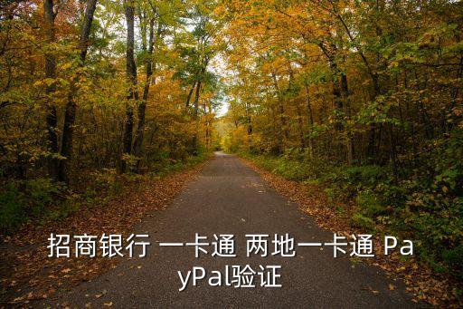 pyvisa，python怎么安裝pvvisa