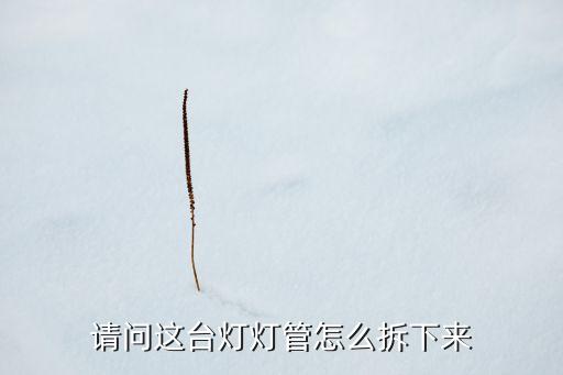 燈管怎么卸下來，請問這臺燈燈管怎么拆下來