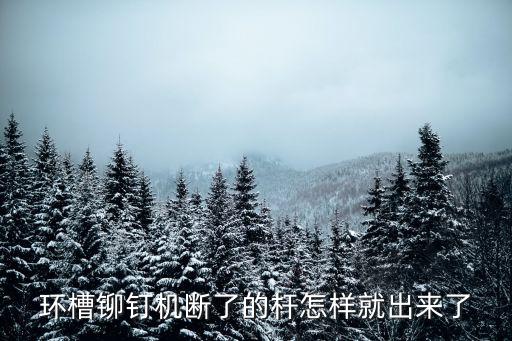 環(huán)槽鉚釘機(jī)斷了的桿怎樣就出來了