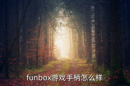 funbox游戲手柄怎么樣