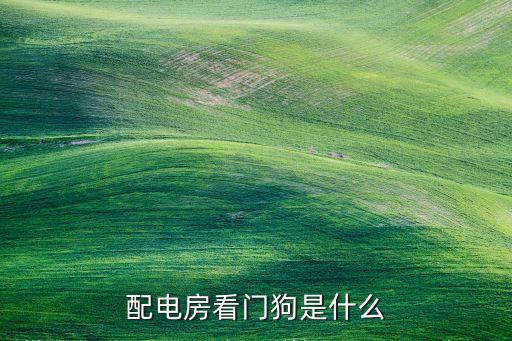 看門(mén)狗是什么意思，配電房看門(mén)狗是什么