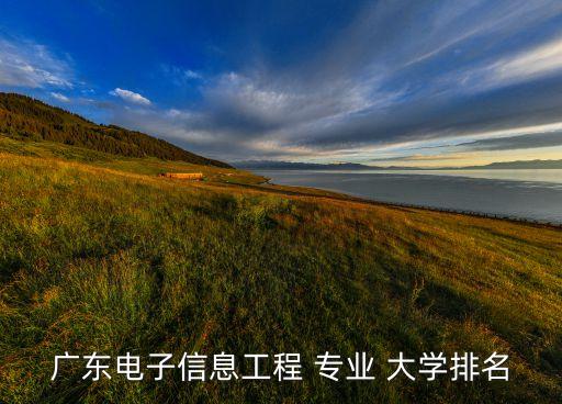 廣東電子信息工程 專業(yè) 大學(xué)排名
