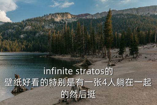 infinite stratos的壁紙好看的特別是有一張4人躺在一起的然后挺