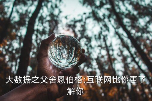 大數(shù)據(jù)之父舍恩伯格:互聯(lián)網(wǎng)比你更了解你