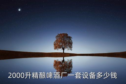 2000升精釀啤酒廠一套設(shè)備多少錢