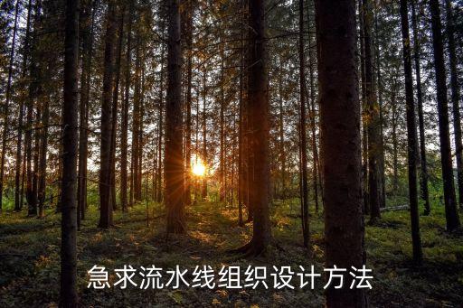 急求流水線組織設(shè)計(jì)方法
