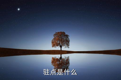 光追是什么，Revr是什么意思