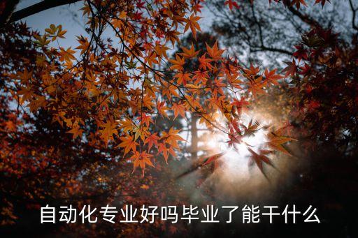 游戲自動化專業(yè)是做什么的,自動化專業(yè)是做什么和怎么樣?