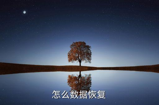 怎么數(shù)據(jù)恢復(fù)