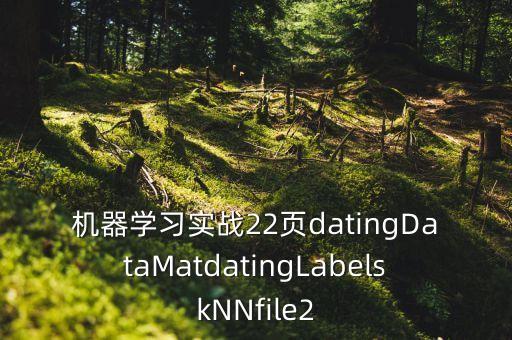 機器學(xué)習(xí)實戰(zhàn)22頁datingDataMatdatingLabelskNNfile2