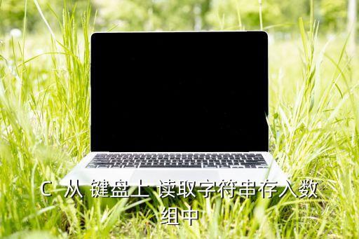 C  從 鍵盤上 讀取字符串存入數(shù)組中