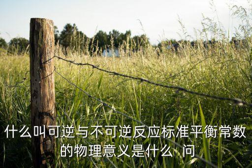 不可逆，不可逆作崇分別是什么意思
