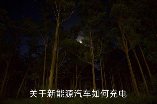 關(guān)于新能源汽車如何充電