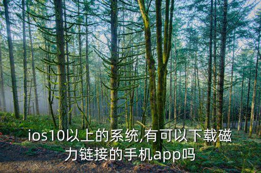 ios10以上的系統(tǒng),有可以下載磁力鏈接的手機(jī)app嗎