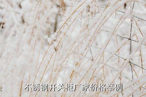 不銹鋼開關(guān)柜廠家價格舉例