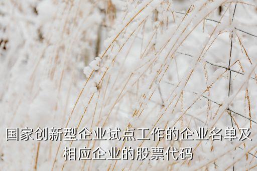 國家創(chuàng)新型企業(yè)試點工作的企業(yè)名單及相應(yīng)企業(yè)的股票代碼