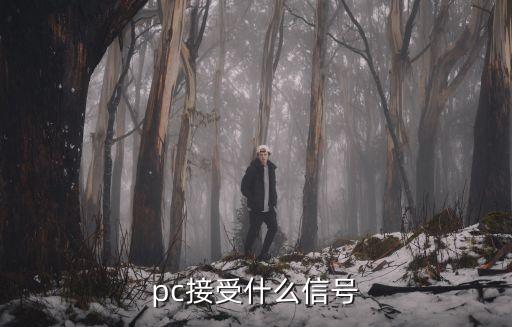 pc預(yù)測(cè)，web測(cè)試與pc測(cè)試有什么不同