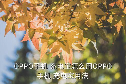 OPPO手機(jī) 充電寶怎么用OPPO手機(jī) 充電寶用法