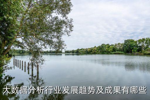 大數(shù)據(jù)分析 sql,如何進行大數(shù)據(jù)分析?一般需要學什么?