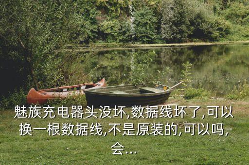 魅族充電器頭沒壞,數(shù)據(jù)線壞了,可以換一根數(shù)據(jù)線,不是原裝的,可以嗎,會(huì)...