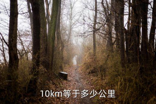 10km，10km是多少米