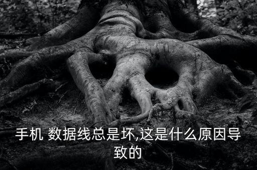 手機(jī) 數(shù)據(jù)線總是壞,這是什么原因?qū)е碌? class=