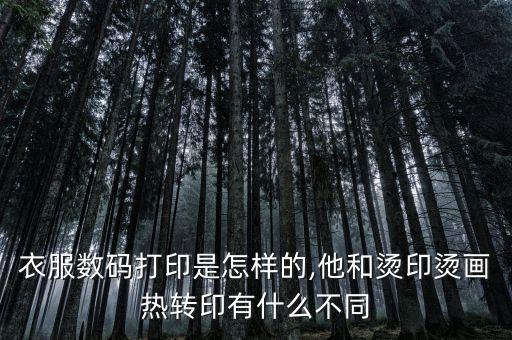衣服數(shù)碼打印是怎樣的,他和燙印燙畫熱轉(zhuǎn)印有什么不同