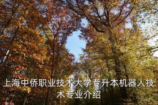 上海中僑職業(yè)技術(shù)大學(xué)專升本機器人技術(shù)專業(yè)介紹