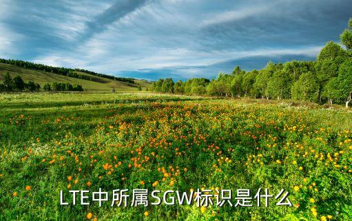 LTE中所屬SGW標(biāo)識是什么