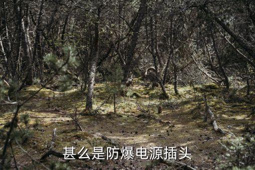 防爆插頭，什么是防爆電源插頭
