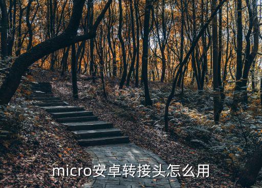 micro安卓轉接頭怎么用