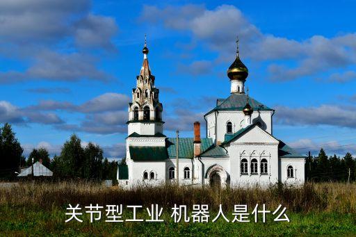 關(guān)節(jié)型工業(yè) 機(jī)器人是什么