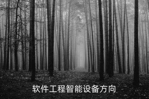 軟件工程智能設(shè)備方向