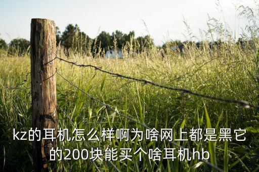 kz耳機(jī)，KZ家的耳機(jī)怎么樣呀