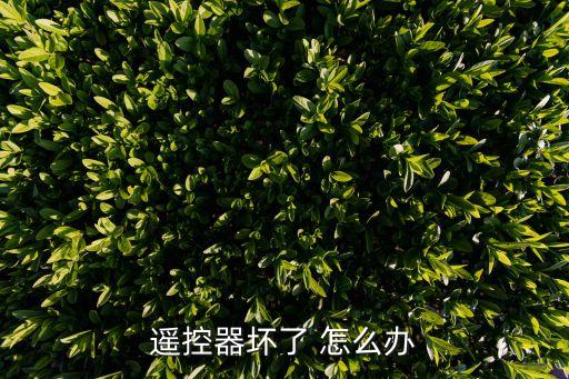 遙控器壞了 怎么辦