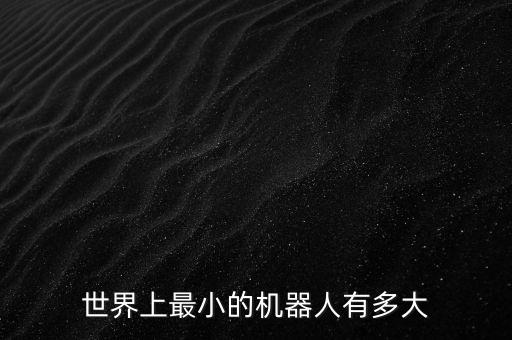世界上最小的機(jī)器人有多大